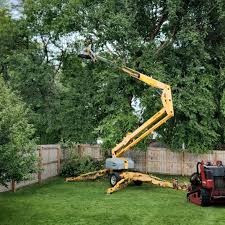 Best Lawn Pest Prevention  in Sag Harbor, NY