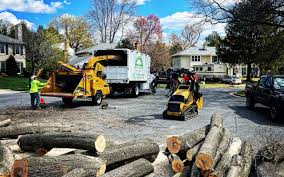 Best Lawn Maintenance Plans  in Sag Harbor, NY
