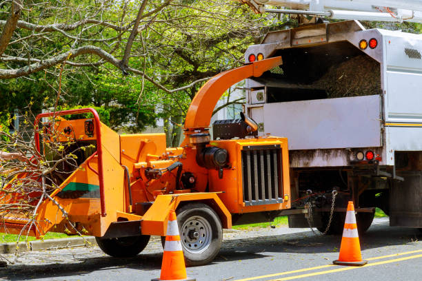 Best Soil Testing and Treatment  in Sag Harbor, NY